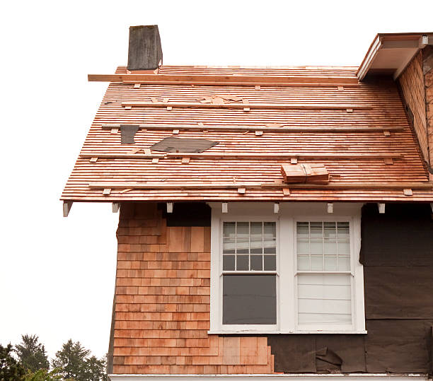 Best Siding Removal and Disposal  in Hotchkiss, CO